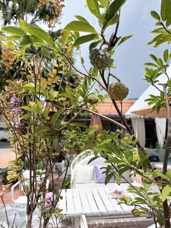Palm Sweet Hotel Prachuap Khiri Khan Luaran gambar
